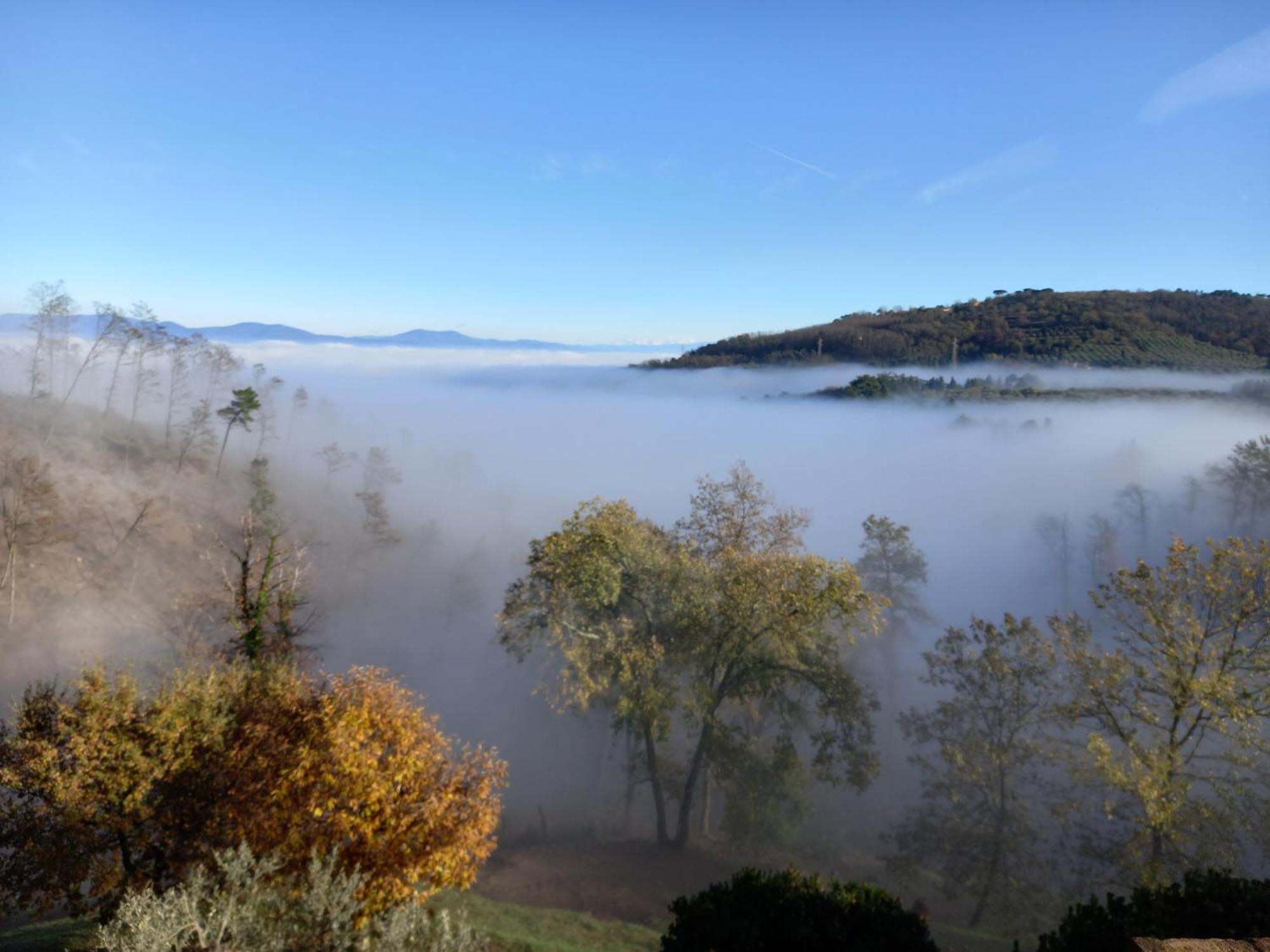 Poggio De Papi Farm stay Cantagrillo